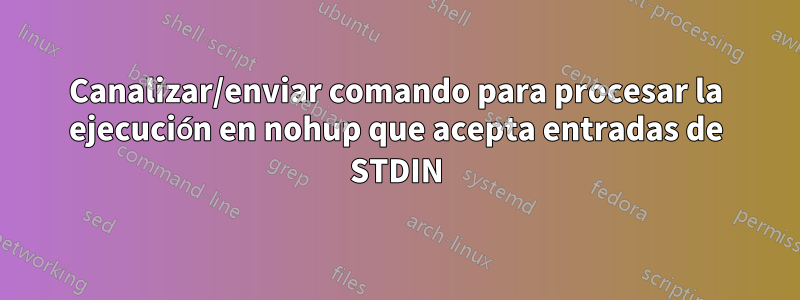 Canalizar/enviar comando para procesar la ejecución en nohup que acepta entradas de STDIN