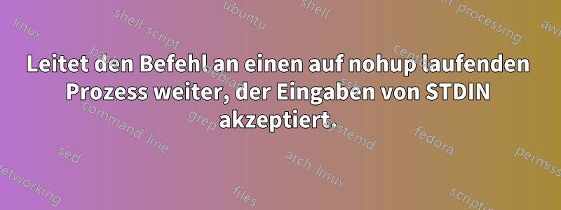 Leitet den Befehl an einen auf nohup laufenden Prozess weiter, der Eingaben von STDIN akzeptiert.