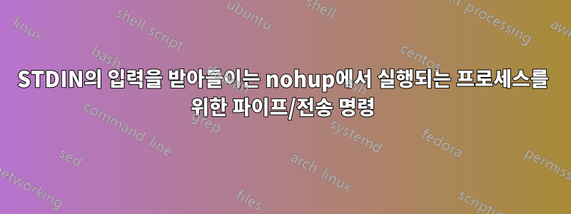 STDIN의 입력을 받아들이는 nohup에서 실행되는 프로세스를 위한 파이프/전송 명령