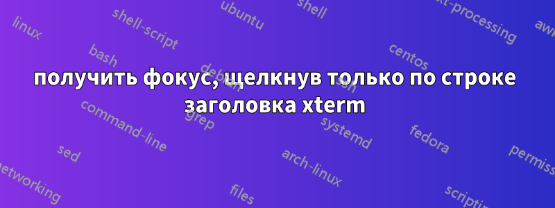 получить фокус, щелкнув только по строке заголовка xterm