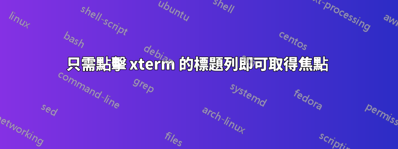 只需點擊 xterm 的標題列即可取得焦點