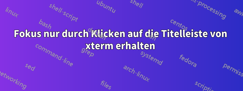 Fokus nur durch Klicken auf die Titelleiste von xterm erhalten