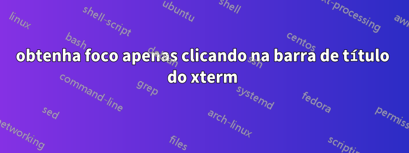 obtenha foco apenas clicando na barra de título do xterm