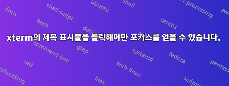 xterm의 제목 표시줄을 클릭해야만 포커스를 얻을 수 있습니다.