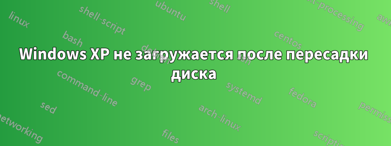 Windows XP не загружается после пересадки диска