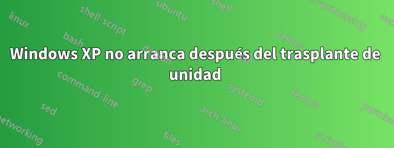 Windows XP no arranca después del trasplante de unidad