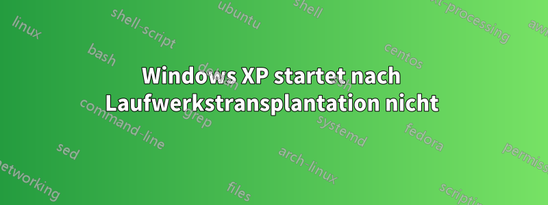 Windows XP startet nach Laufwerkstransplantation nicht