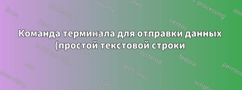Команда терминала для отправки данных (простой текстовой строки) на порт удаленного компьютера