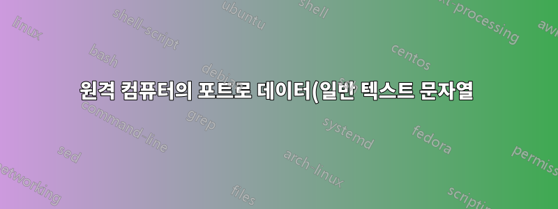 원격 컴퓨터의 포트로 데이터(일반 텍스트 문자열)를 보내는 터미널 명령