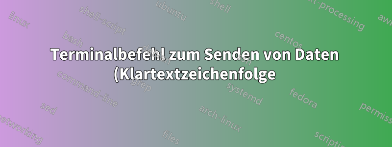 Terminalbefehl zum Senden von Daten (Klartextzeichenfolge) an einen Port auf einem Remotecomputer