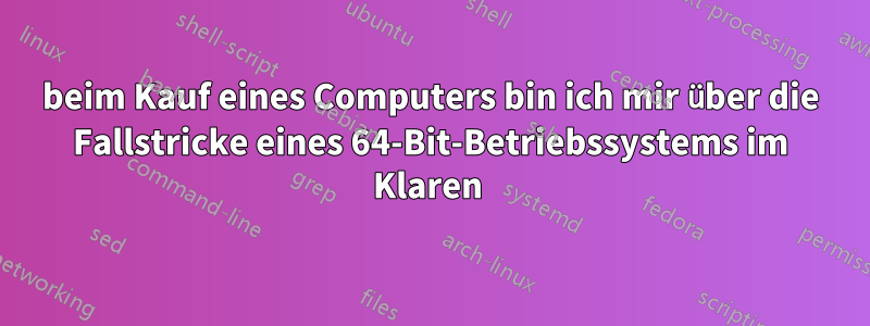 beim Kauf eines Computers bin ich mir über die Fallstricke eines 64-Bit-Betriebssystems im Klaren 