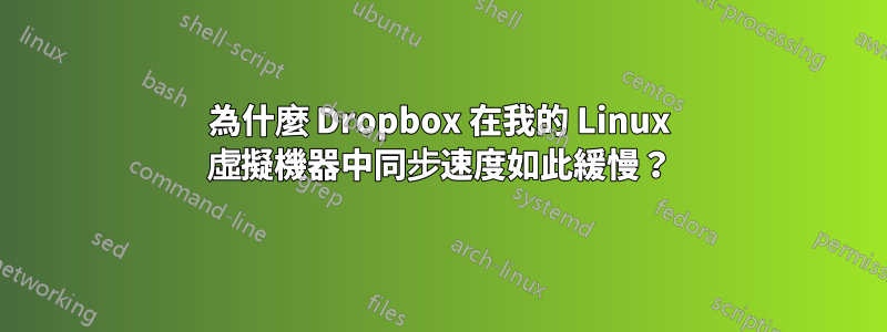 為什麼 Dropbox 在我的 Linux 虛擬機器中同步速度如此緩慢？