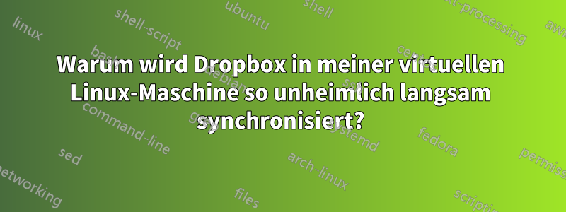 Warum wird Dropbox in meiner virtuellen Linux-Maschine so unheimlich langsam synchronisiert?