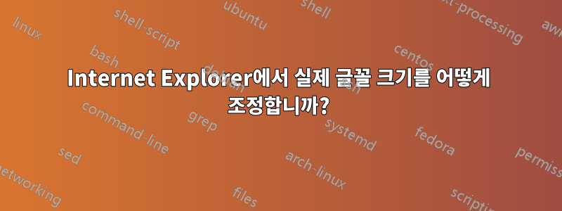 Internet Explorer에서 실제 글꼴 크기를 어떻게 조정합니까?