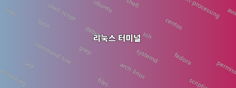 리눅스 터미널