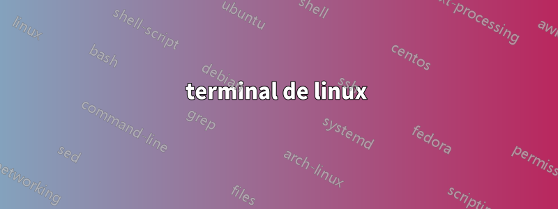 terminal de linux
