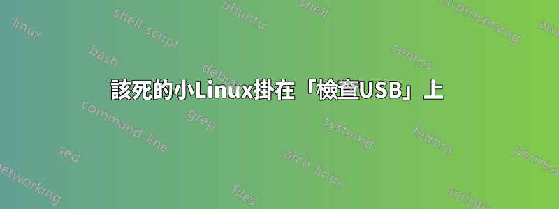 該死的小Linux掛在「檢查USB」上