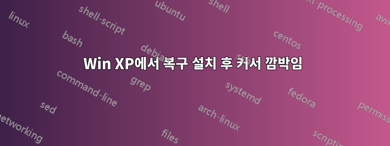 Win XP에서 복구 설치 후 커서 깜박임