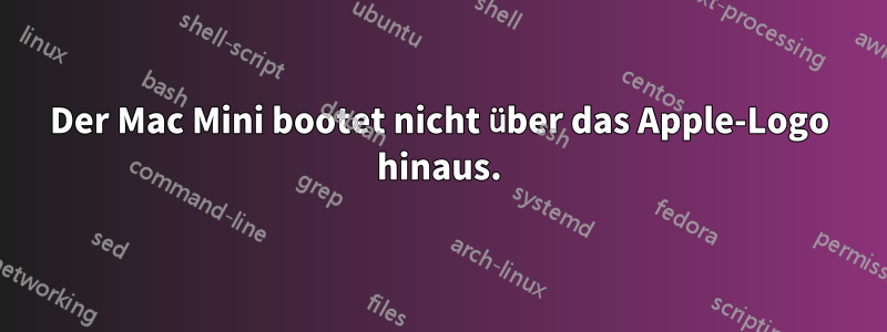 Der Mac Mini bootet nicht über das Apple-Logo hinaus.