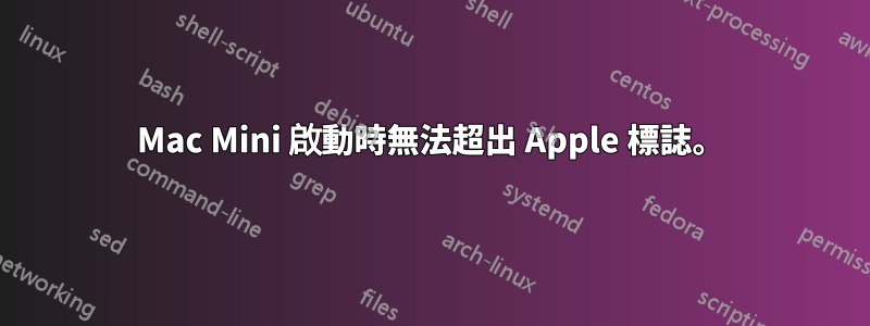 Mac Mini 啟動時無法超出 Apple 標誌。