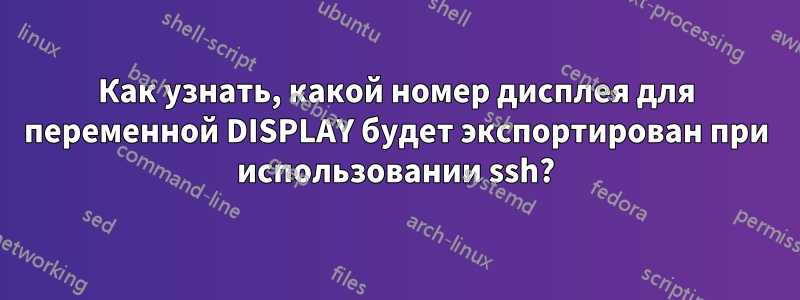 Как узнать, какой номер дисплея для переменной DISPLAY будет экспортирован при использовании ssh?