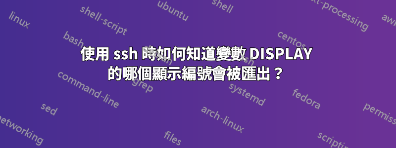 使用 ssh 時如何知道變數 DISPLAY 的哪個顯示編號會被匯出？