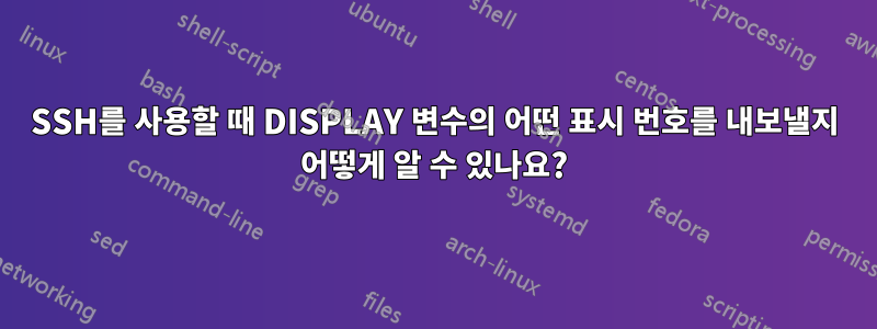 SSH를 사용할 때 DISPLAY 변수의 어떤 표시 번호를 내보낼지 어떻게 알 수 있나요?