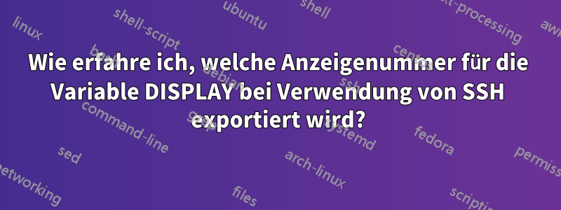 Wie erfahre ich, welche Anzeigenummer für die Variable DISPLAY bei Verwendung von SSH exportiert wird?