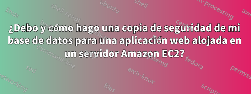 ¿Debo y cómo hago una copia de seguridad de mi base de datos para una aplicación web alojada en un servidor Amazon EC2?