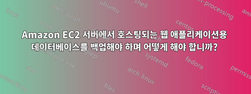 Amazon EC2 서버에서 호스팅되는 웹 애플리케이션용 데이터베이스를 백업해야 하며 어떻게 해야 합니까?