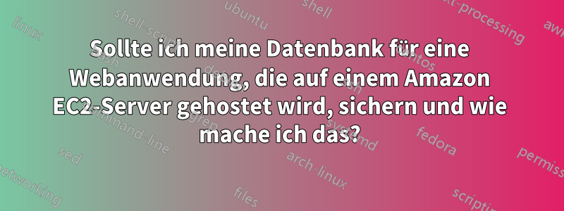Sollte ich meine Datenbank für eine Webanwendung, die auf einem Amazon EC2-Server gehostet wird, sichern und wie mache ich das?
