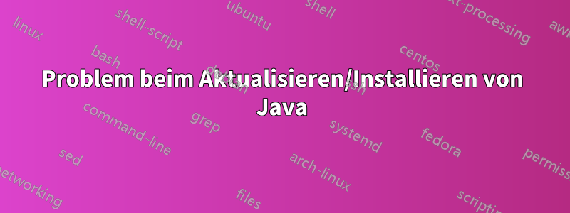 Problem beim Aktualisieren/Installieren von Java