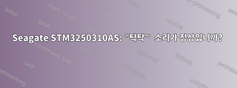 Seagate STM3250310AS: "탁탁" 소리가 정상입니까?