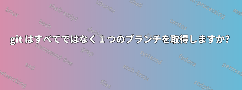 git はすべてではなく 1 つのブランチを取得しますか?