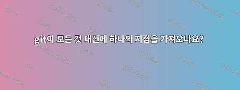 git이 모든 것 대신에 하나의 지점을 가져오나요?
