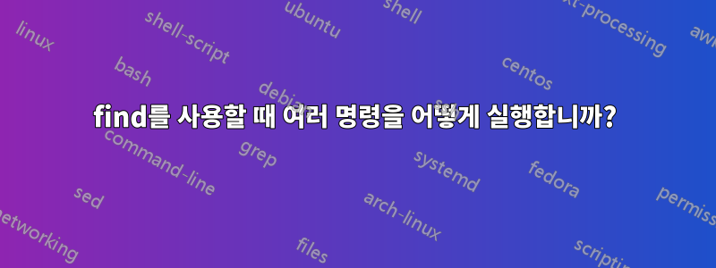 find를 사용할 때 여러 명령을 어떻게 실행합니까?