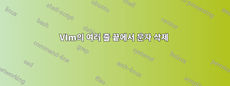 VIm의 여러 줄 끝에서 문자 삭제