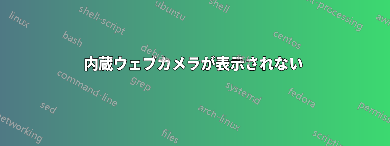 内蔵ウェブカメラが表示されない