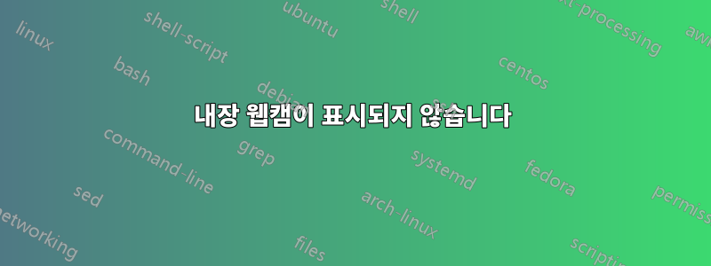 내장 웹캠이 표시되지 않습니다