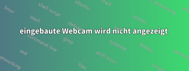 eingebaute Webcam wird nicht angezeigt