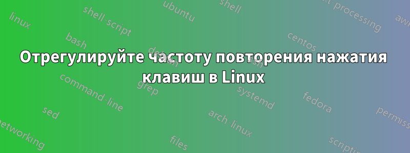 Отрегулируйте частоту повторения нажатия клавиш в Linux