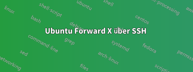 Ubuntu Forward X über SSH