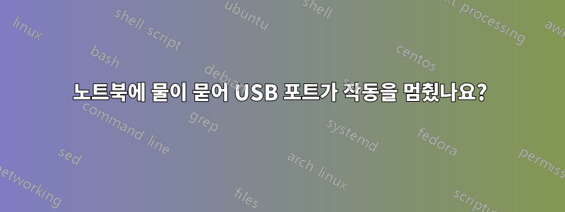 노트북에 물이 묻어 USB 포트가 작동을 멈췄나요?