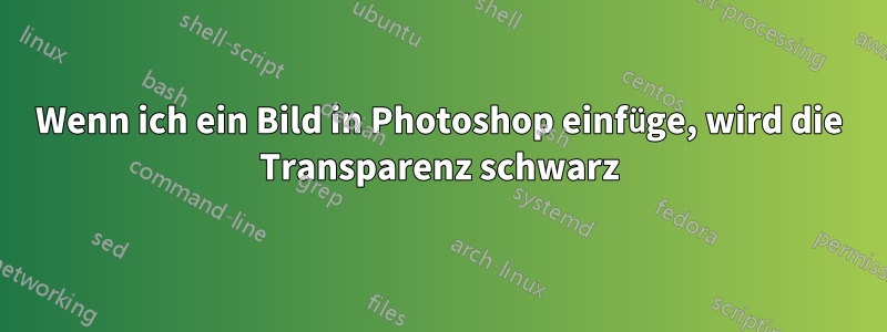 Wenn ich ein Bild in Photoshop einfüge, wird die Transparenz schwarz