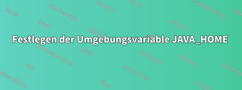 Festlegen der Umgebungsvariable JAVA_HOME