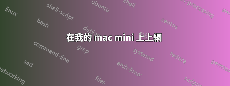 在我的 mac mini 上上網