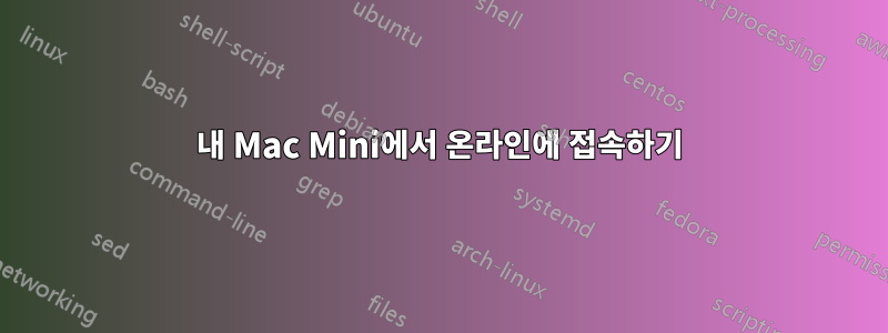 내 Mac Mini에서 온라인에 접속하기