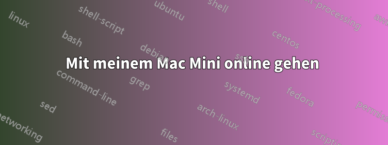 Mit meinem Mac Mini online gehen