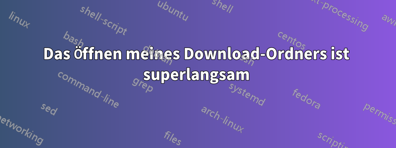 Das Öffnen meines Download-Ordners ist superlangsam