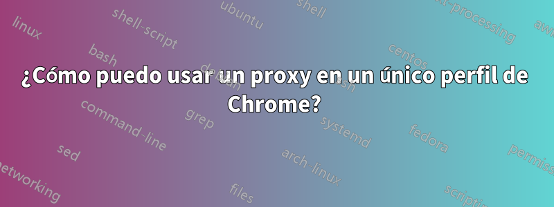 ¿Cómo puedo usar un proxy en un único perfil de Chrome?